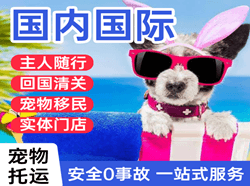 杭州萧山空运代理国际宠物托运 【国